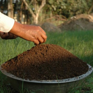 Organic Bio-Inputs