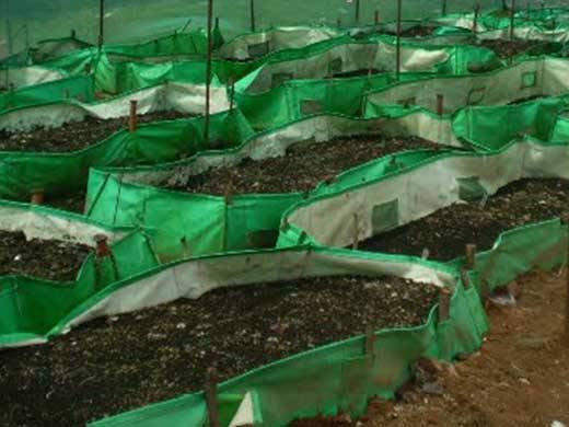Vermicompost Site