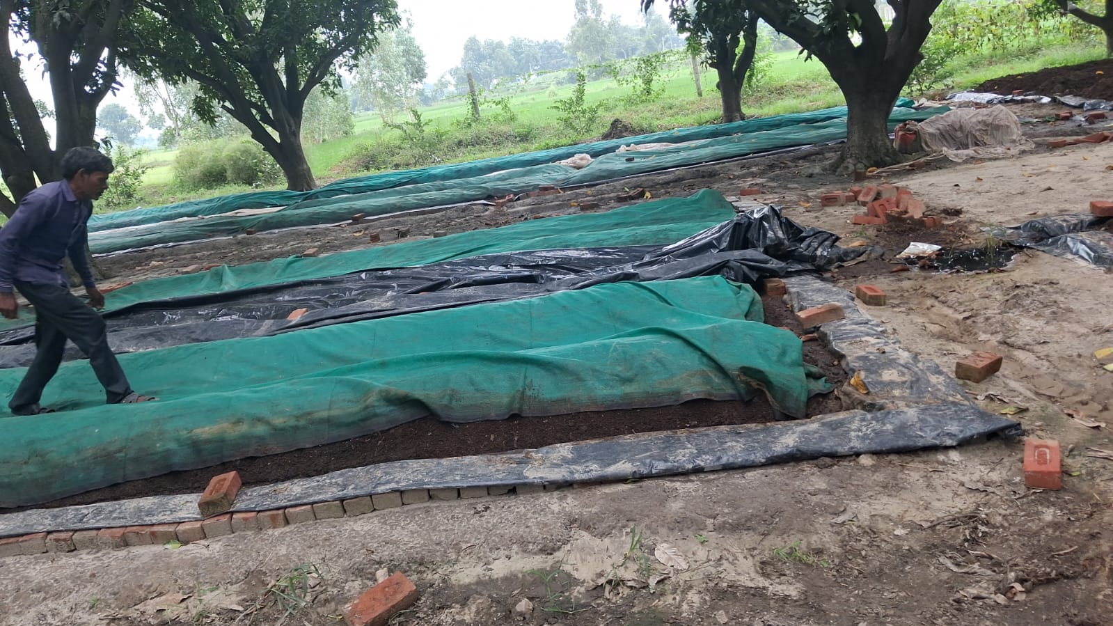 Vermicompost Site