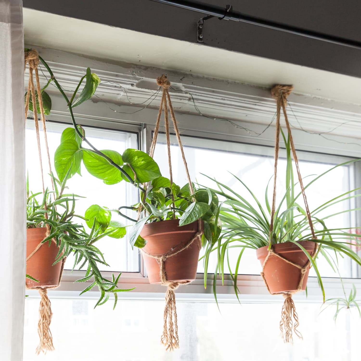 Hanging Planters