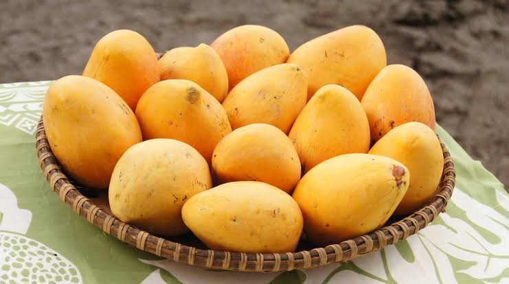 Chemical-Free Mangoes