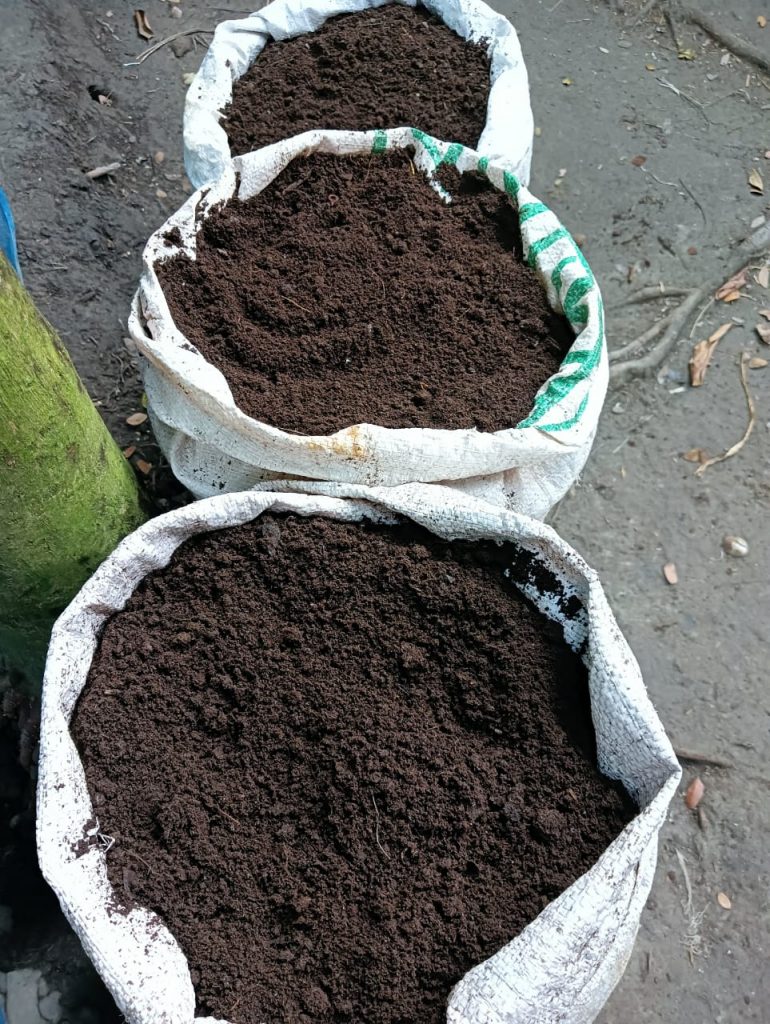 Beesagro Premium Vermicompost